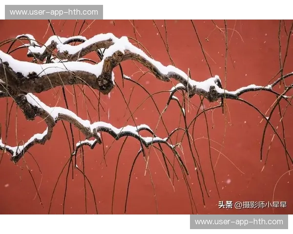 蓝白圣殿与红墙博弈:当潘帕斯雄鹰在紫禁城下起舞 蓝白圣殿与红墙博弈:当潘帕斯雄鹰在紫禁城下起舞